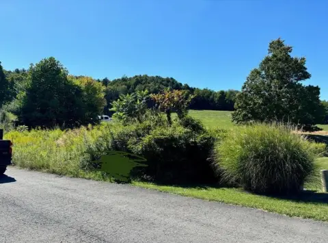 Residential Lot in Daniels, WV