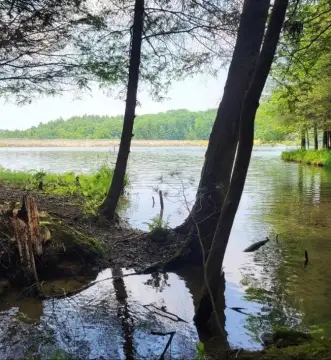 Residential Lot Near Lake Chatham