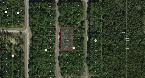 Spacious Vacant Land in Dunnellon