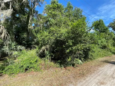 Vacant Land in Citra, FL