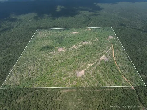 Secluded Acreage in Nella Community