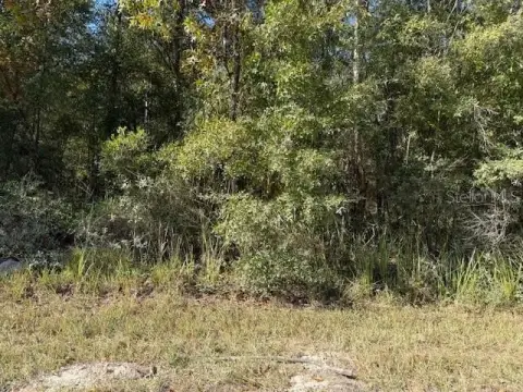 Vacant Land in Levy County