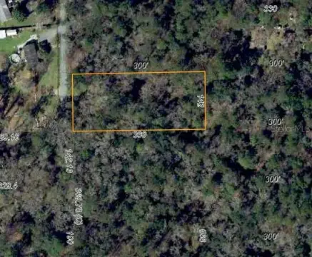 Wooded Homesite Near Tallahassee