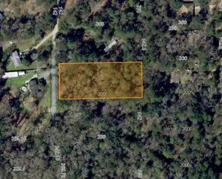 Wooded Lot Near Tallahassee