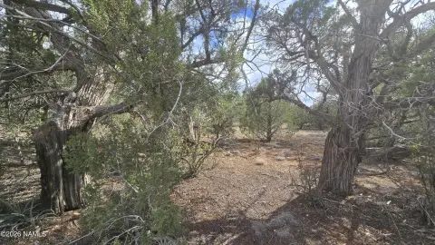 Corner Residential Acreage Parcel