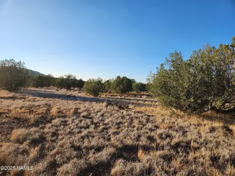 Rural Hunting Land Parcel