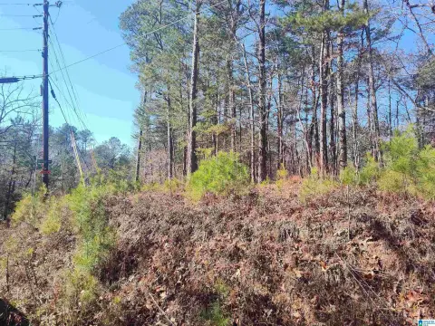 SYLACAUGA, AL Lots For Sale