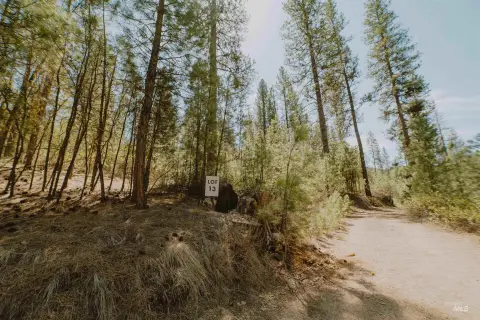 3-Acre Wooded Mountain Property