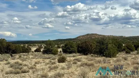 Pristine Land Bordering State Land