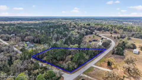 Wooded Land with Creek in Brooksville