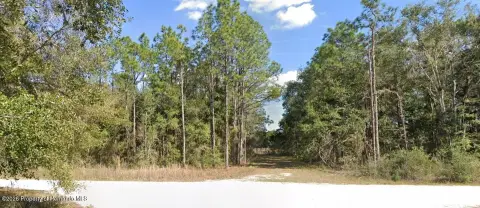 Residential Lot in Weeki Wachee
