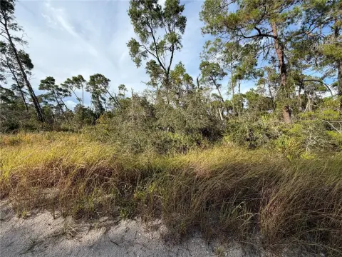 Residential Land in Sebring, Florida