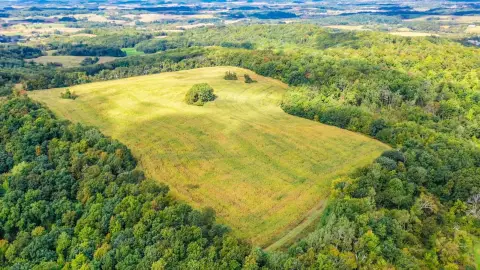 Managed Hunting Land with Food Plots