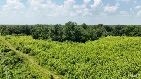 Hazleton Land for Recreation, Hunting