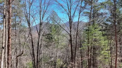 Blairsville, GA Mountain View Land