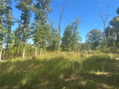 40-Acre Hunting Land