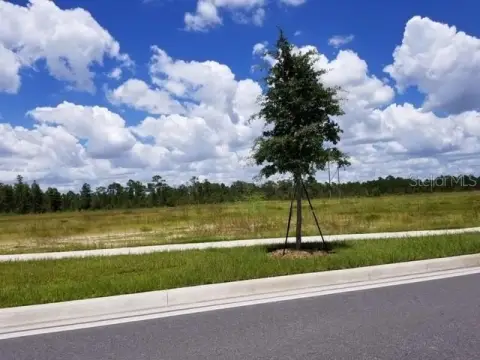 Vacant Land Near Disney