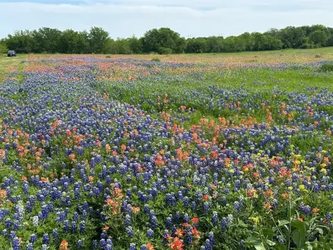 Ennis, TX Homesite with Views