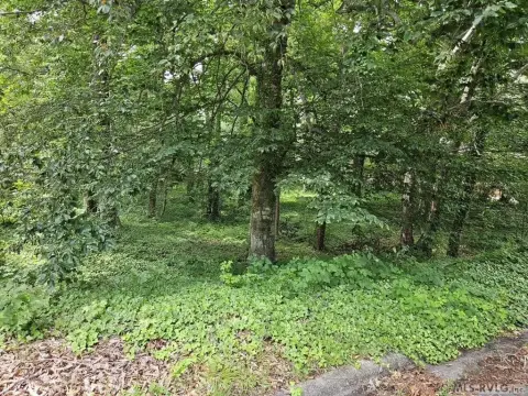 Residential Lot in Becker Farms