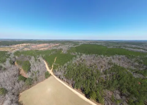 Recreational Hunting Land Tracts