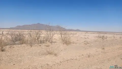 319 Acres in Deming, NM