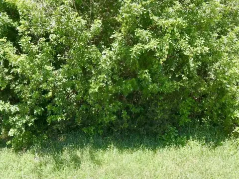 Residential Lot in Port St. Lucie