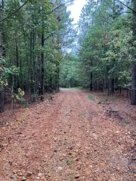 Ozark Hideaway Land Available