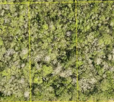 Vacant Land in DeLand, FL