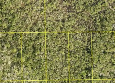 Vacant Land in DeLand, FL