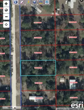 Residential Land in Williston, FL