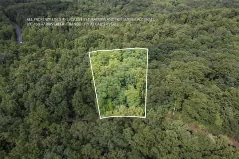 Homesite in Tranquility at Carters Lake