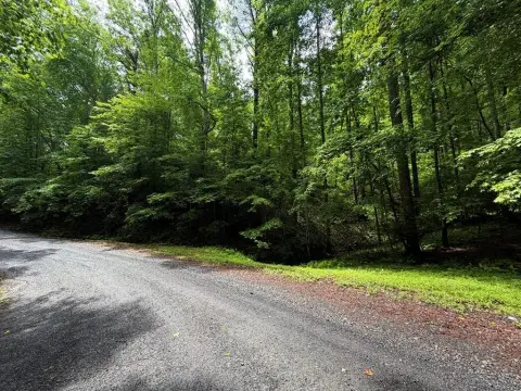 Ellijay Mountain Lot for Sale