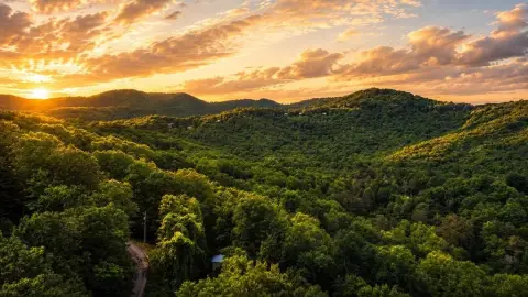 Ellijay Vacant Land with Potential