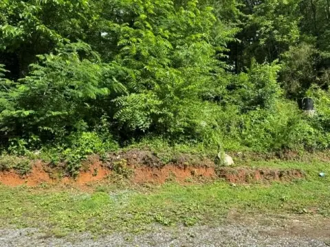 Ellijay, GA Vacant Lot
