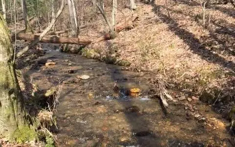Suches, GA Acreage with Creek