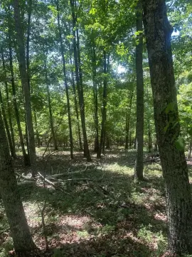 Jasper, GA Vacant Lot