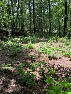 Unrestricted Land Near Hiking Trails