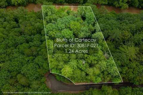 Ellijay Vacant Lot For Sale