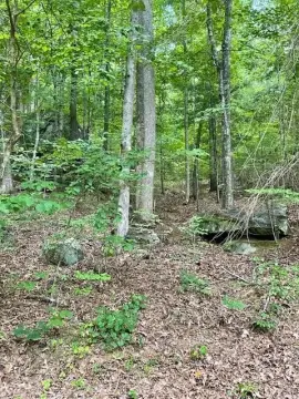 Bear Paw Lake Community Lot