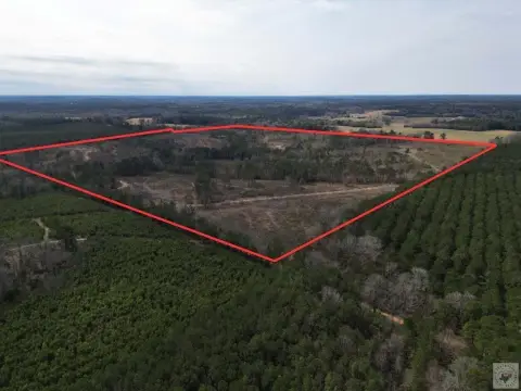 Secluded Wooded Acreage in Atlanta, TX