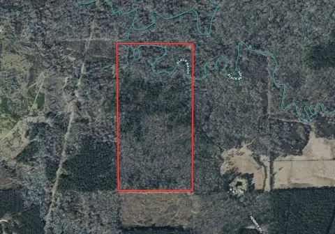 Hardwood Timber Hunting Land