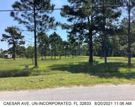 Cleared Agricultural Land Lot