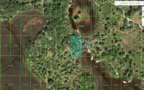 Wooded Recreation Land Parcel