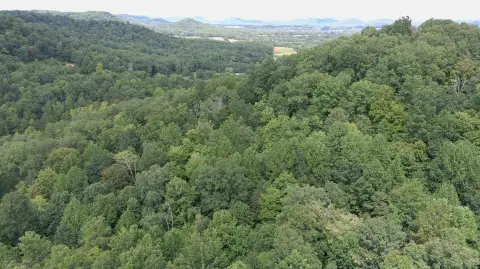 Recreational Hunting Land Tract