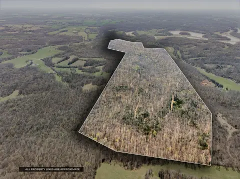 Hunting Land with Marketable Timber
