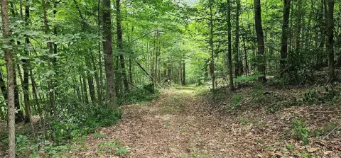 Secluded Hunting and Recreational Land