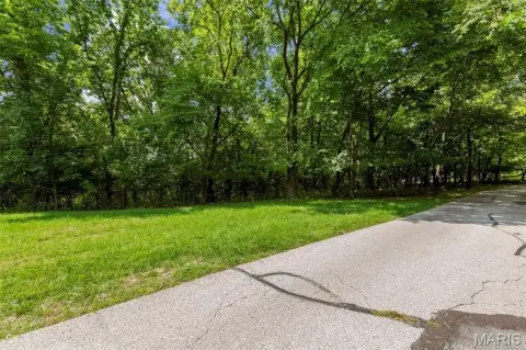 Single-Family Wooded Lot