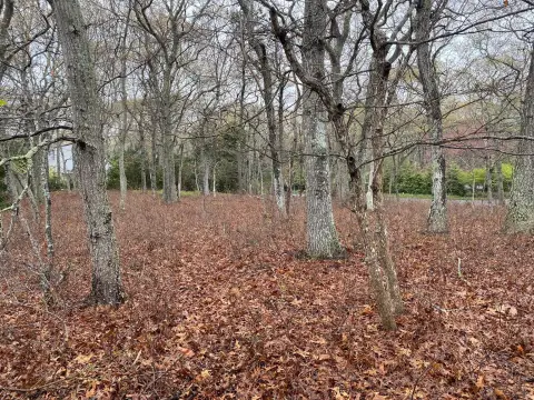 East Hampton Buildable Lot