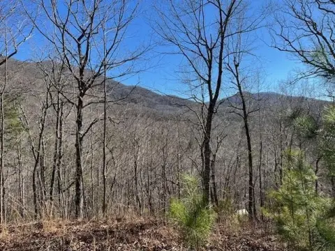 Corner Mountain View Home Lot