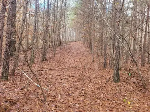 Acreage Land with Logging Roads